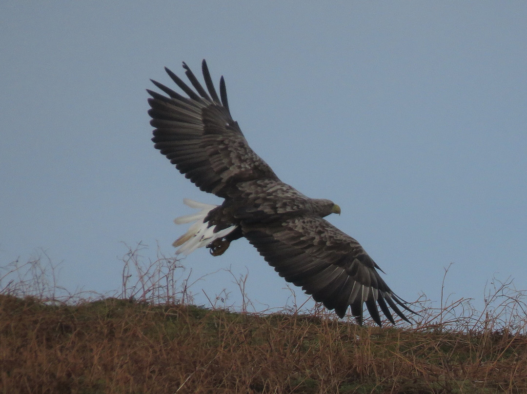 Stardust Boat Trips Portree-Portree必去景点
