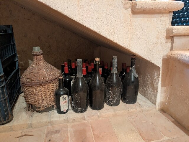 Terre di San Vito-波利尼亚诺阿马雷必去景点