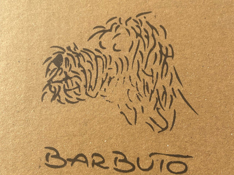 Barbuto Brooklyn