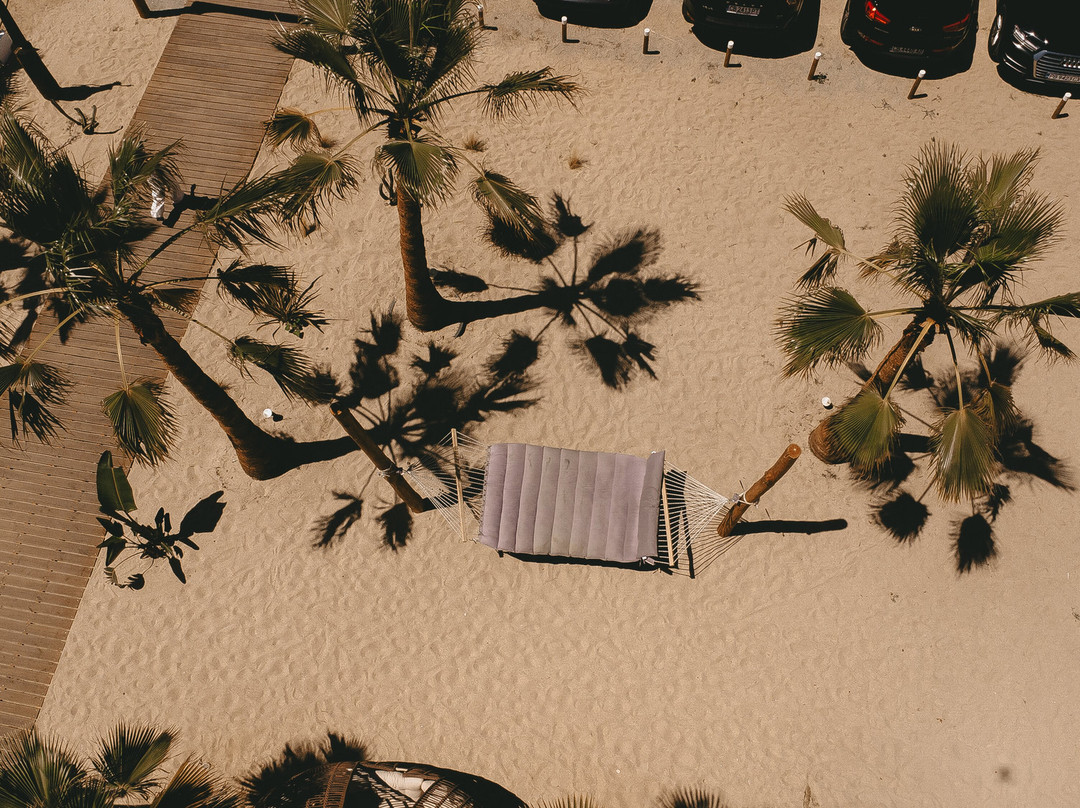 Paloma Beach Bar-Paralia Eleochoriou必去景点