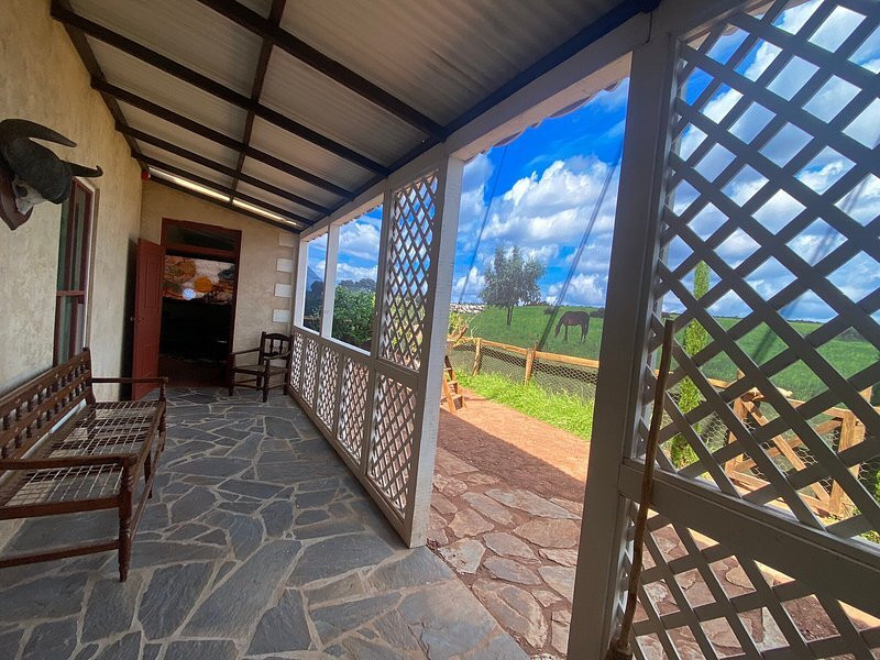 The Story Of Emily-null必去景点