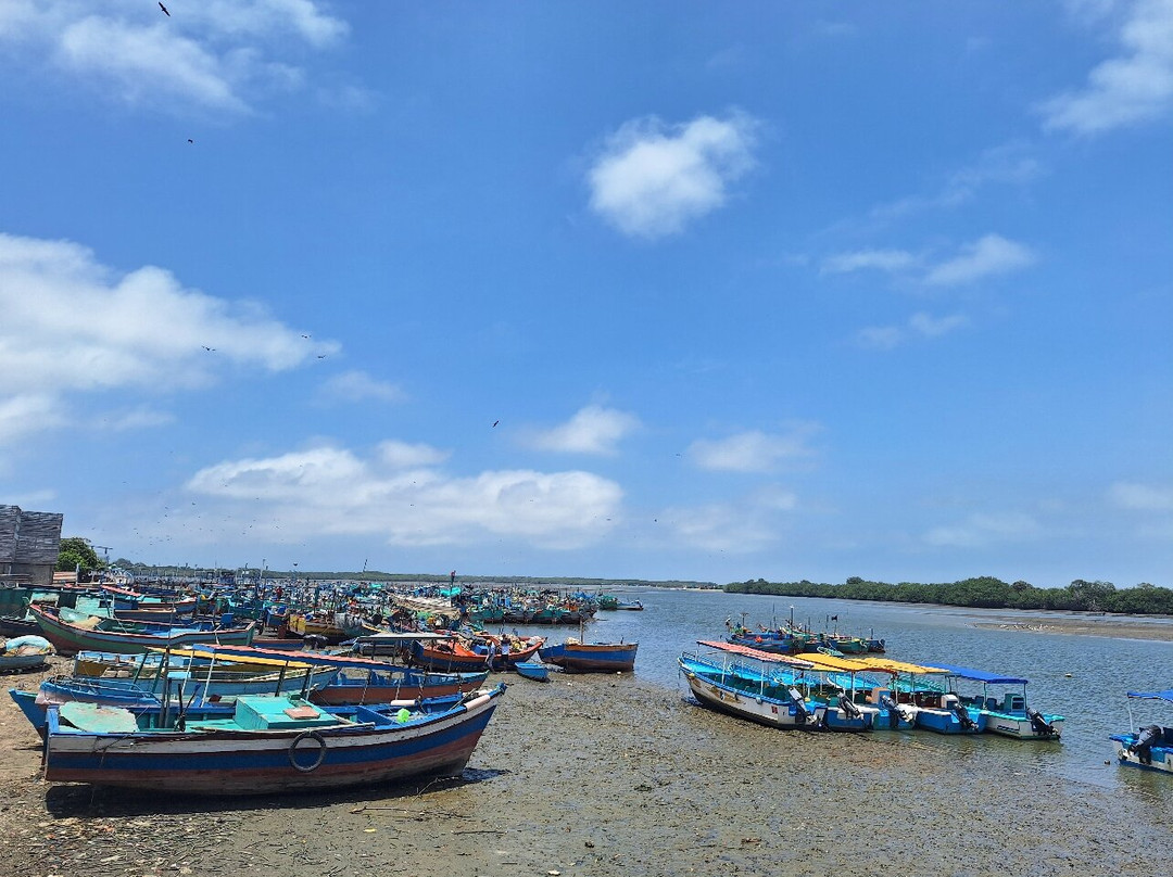 El Caracolito De Mar