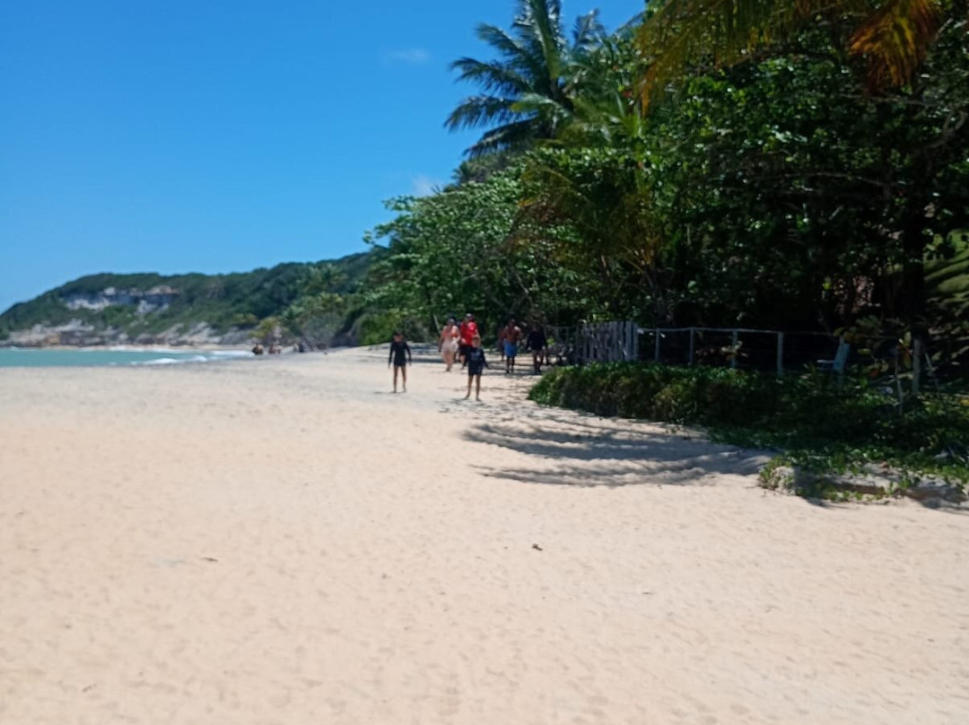 Bahia Eco Turismo Receptivo-Arraial d'Ajuda必去景点