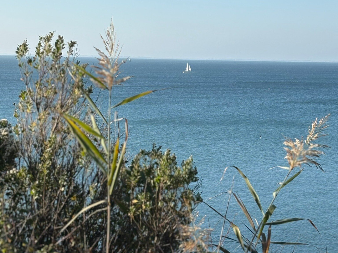 Plage de la Birochere-波尔尼克必去景点