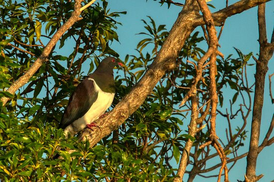 迪拉莫尔酒店主图