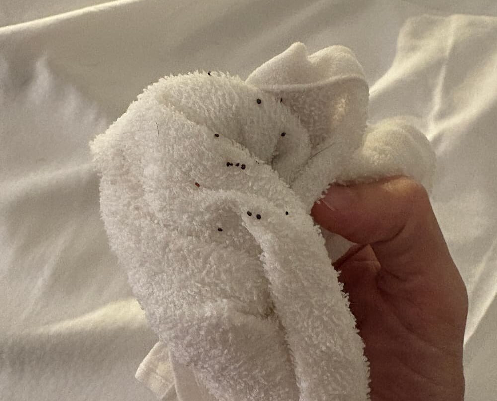 Hilton Garden Inn Annapolis Downtown主图