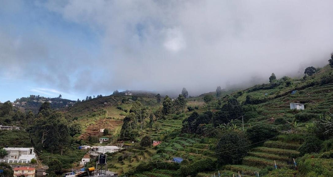 Kodai Breeze