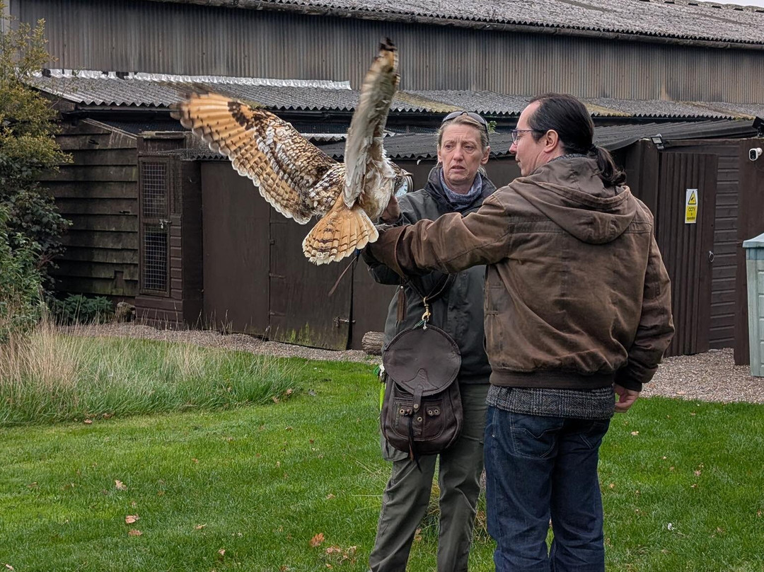 Battlefield Bird of Prey Centre-什鲁斯伯里必去景点