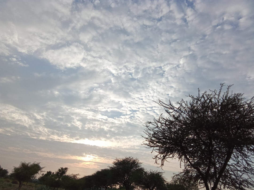 Sunset Nature view point - near jodhpur