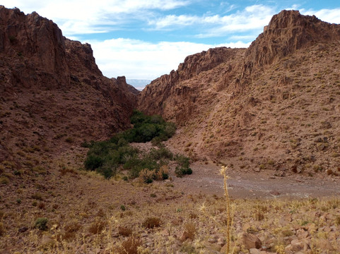 Yak Travel-卢顿必去景点