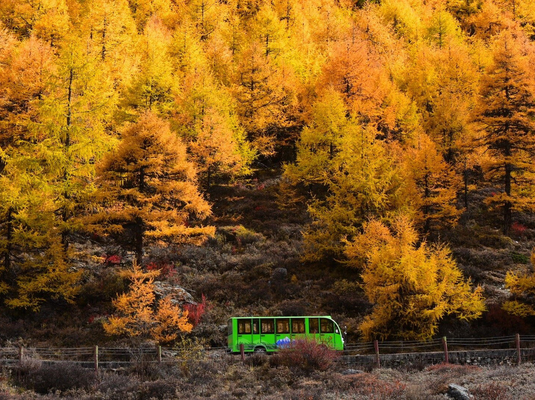 稻城亚丁风景区-稻城县必去景点