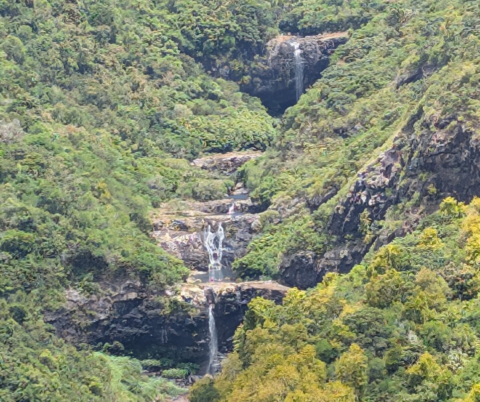 Nature Trails Mauritius-卡特勒博尔纳必去景点