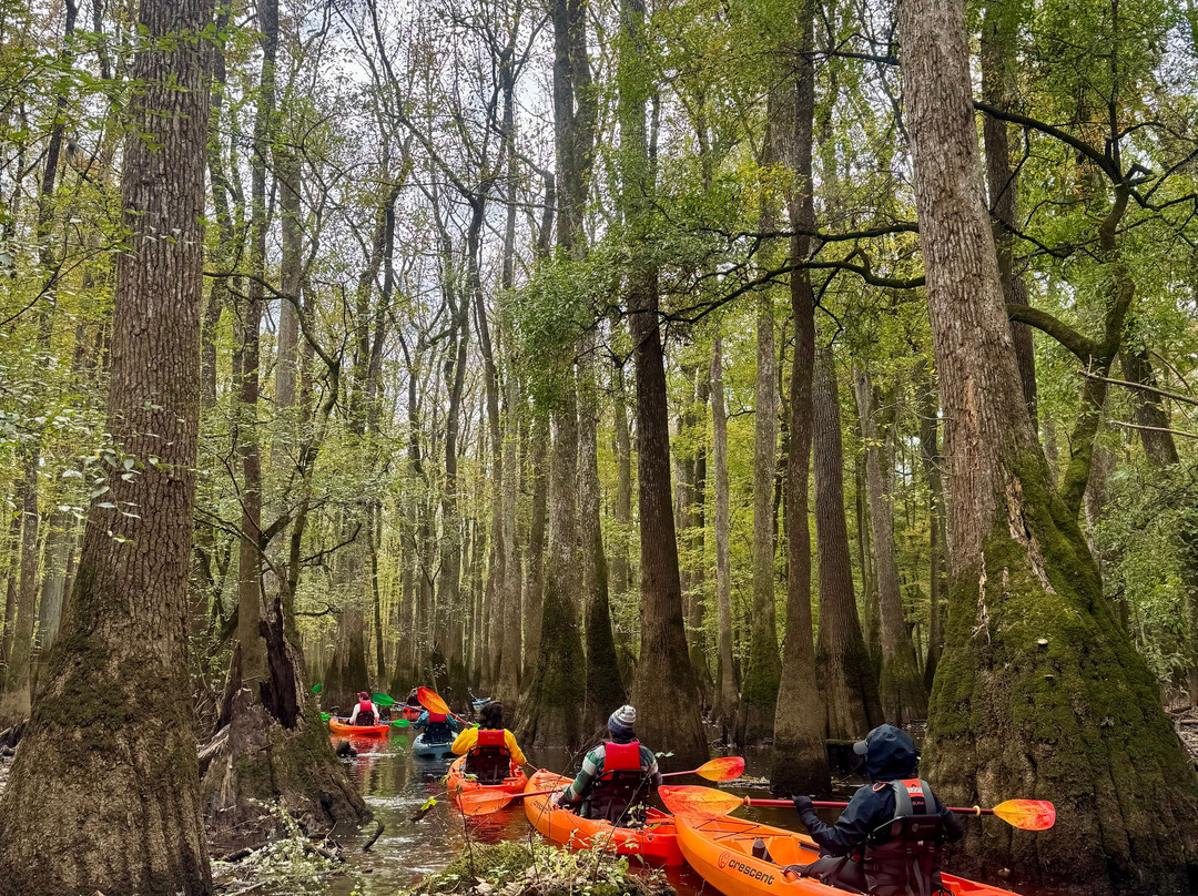 Carolina Outdoor Adventures-厄莫必去景点