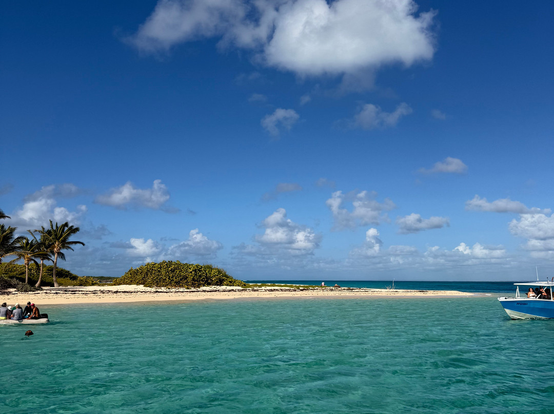 Tarzan Excursion Guadeloupe-Sainte-Anne必去景点