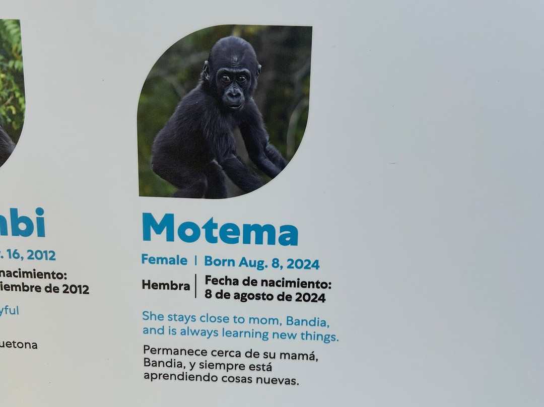 Detroit Zoo-罗亚尔奥克必去景点