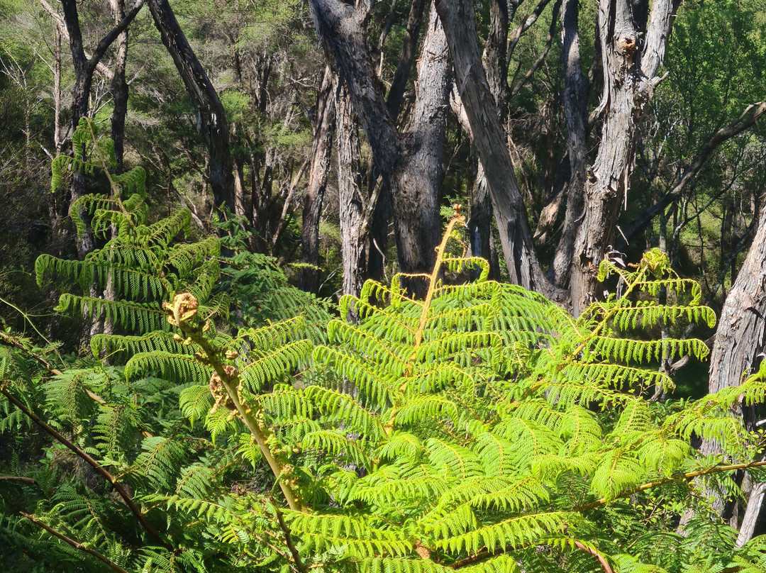 Tora Coastal Walk-马丁堡必去景点