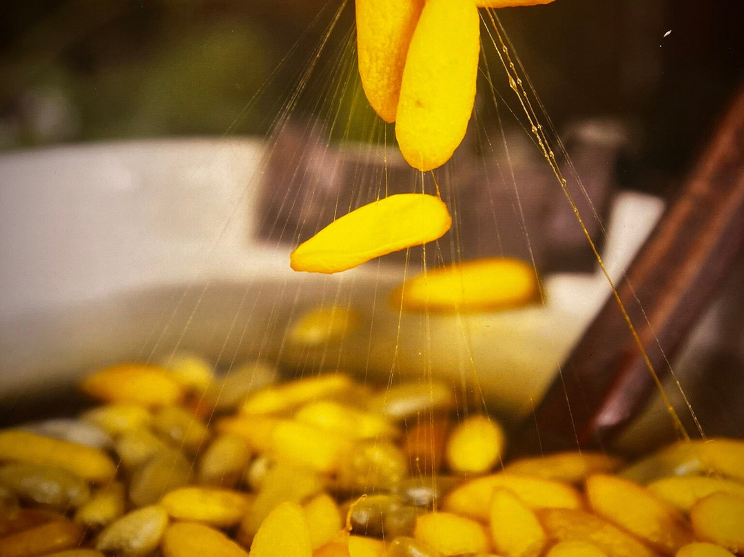 Silk Village Hoi An - The Tourist-Cam Pho必去景点