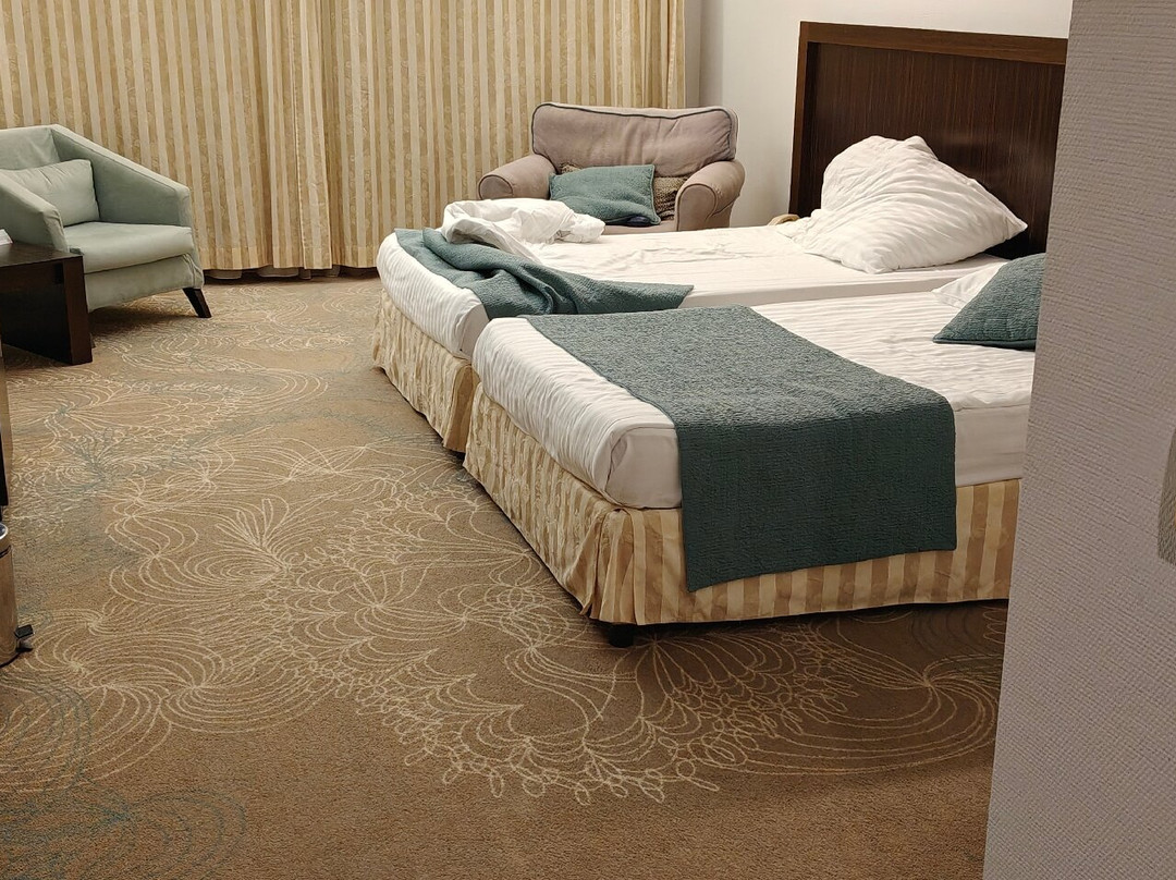 Pirin Park Hotel主图