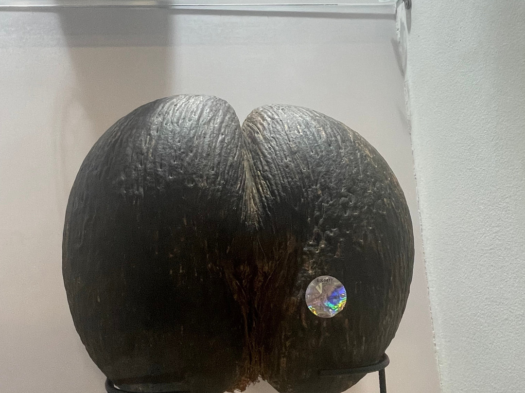 Creole Travel Services-维多利亚必去景点