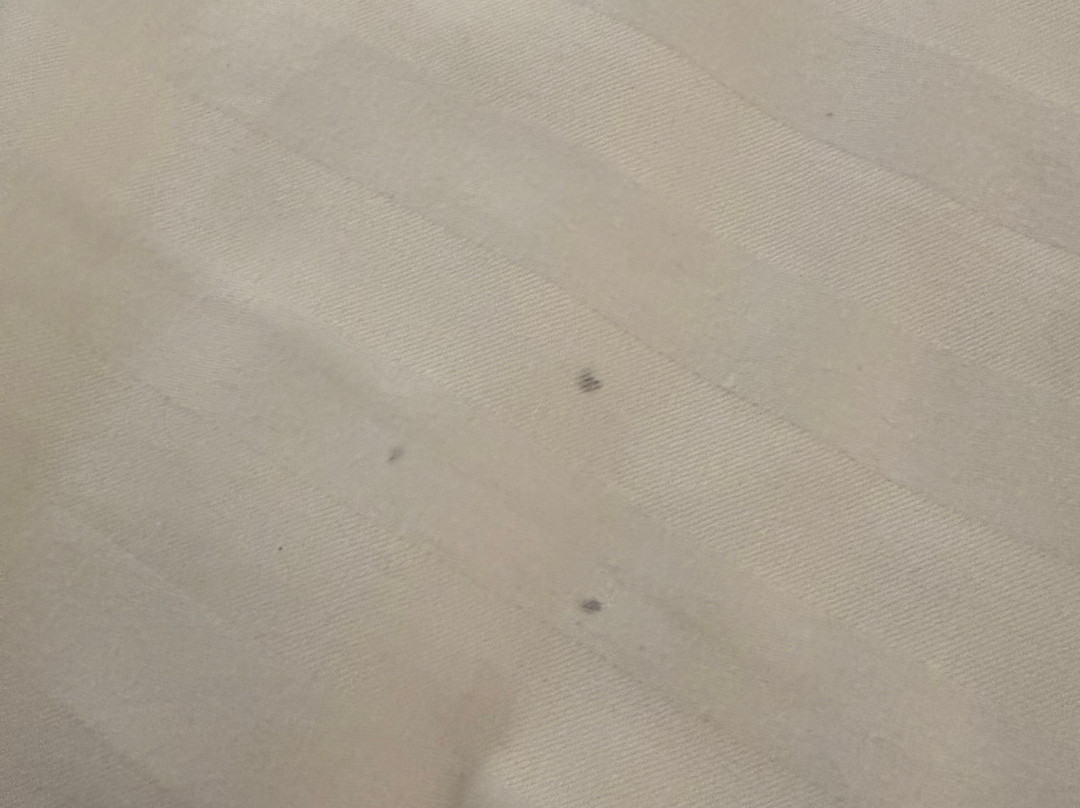 诺曼底酒店主图