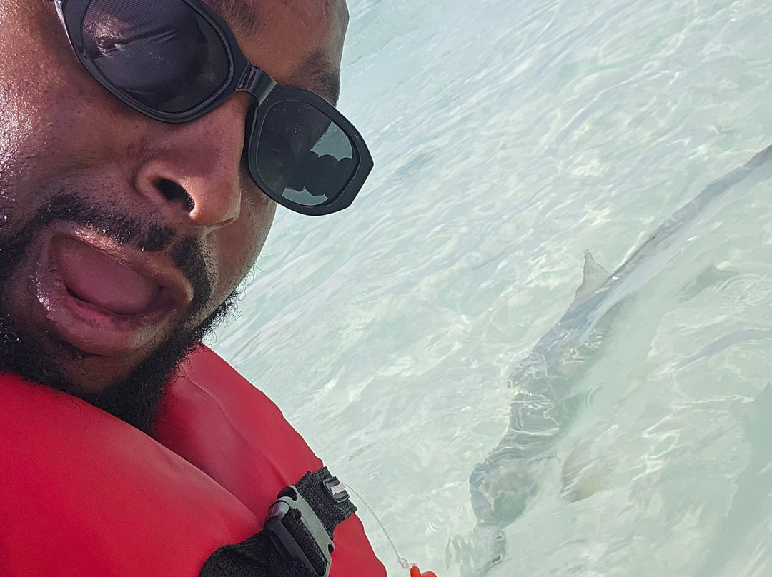 Los Cayos Adventure Chiliboats Waterbike in La Parguera-La Parguera必去景点