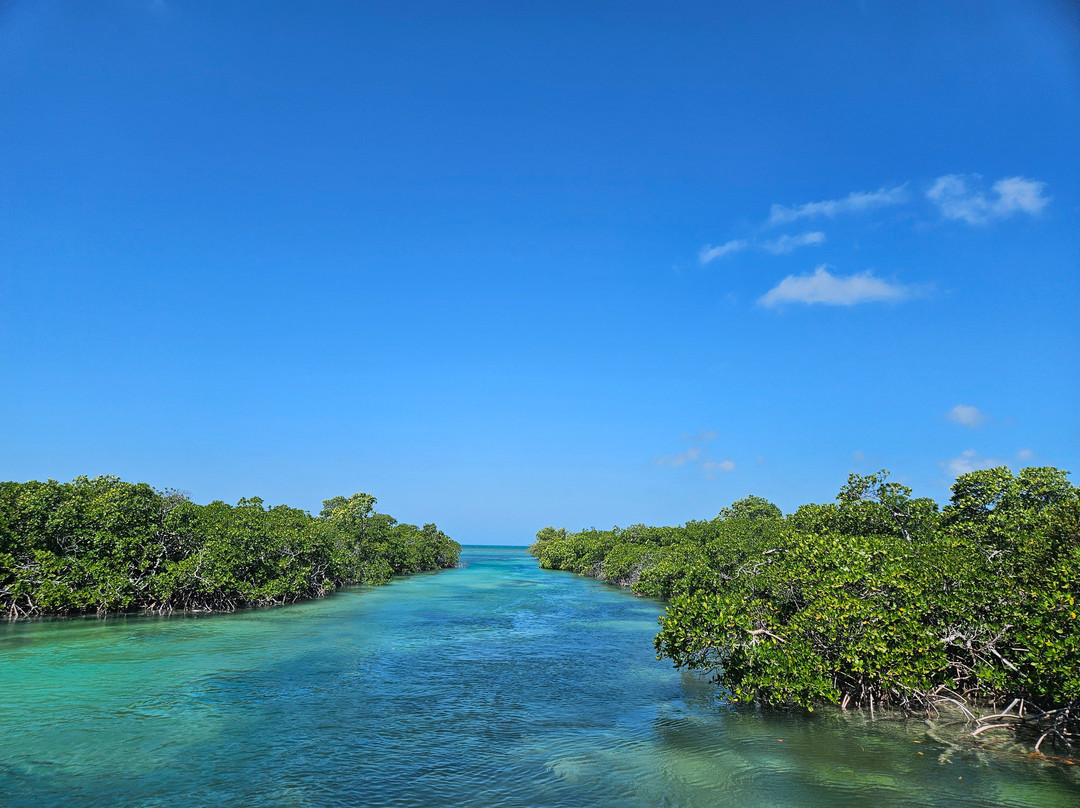 Native Guidance-Sugarloaf必去景点