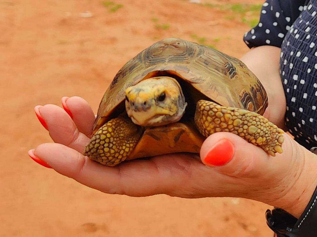 Gambia and Senegal tours with Ebrima-Tanji必去景点