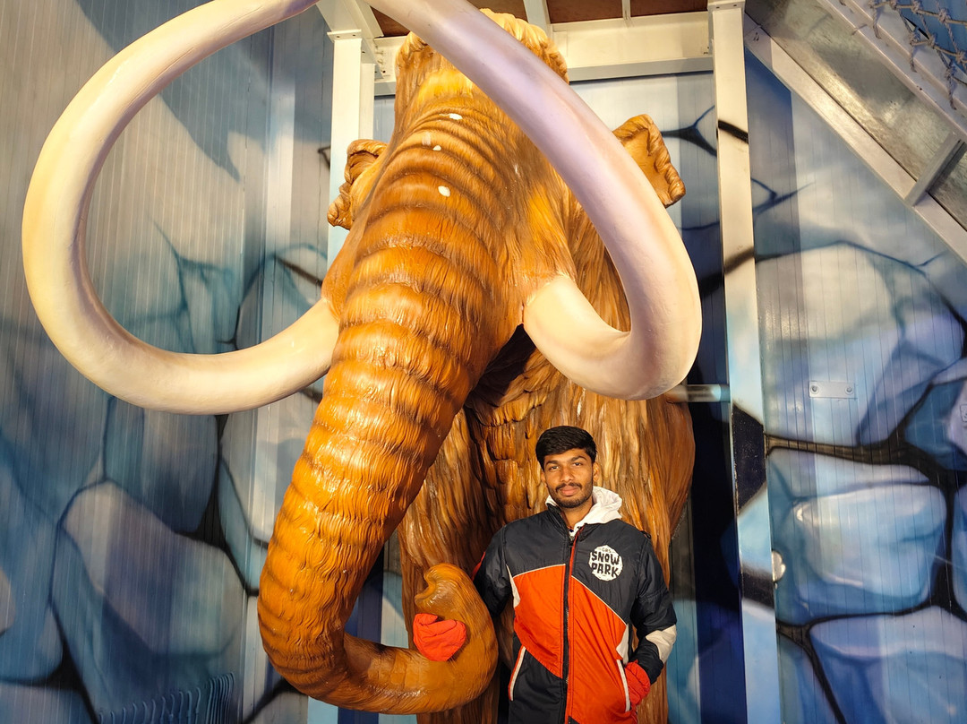 GRS Snow Park-迈索尔必去景点