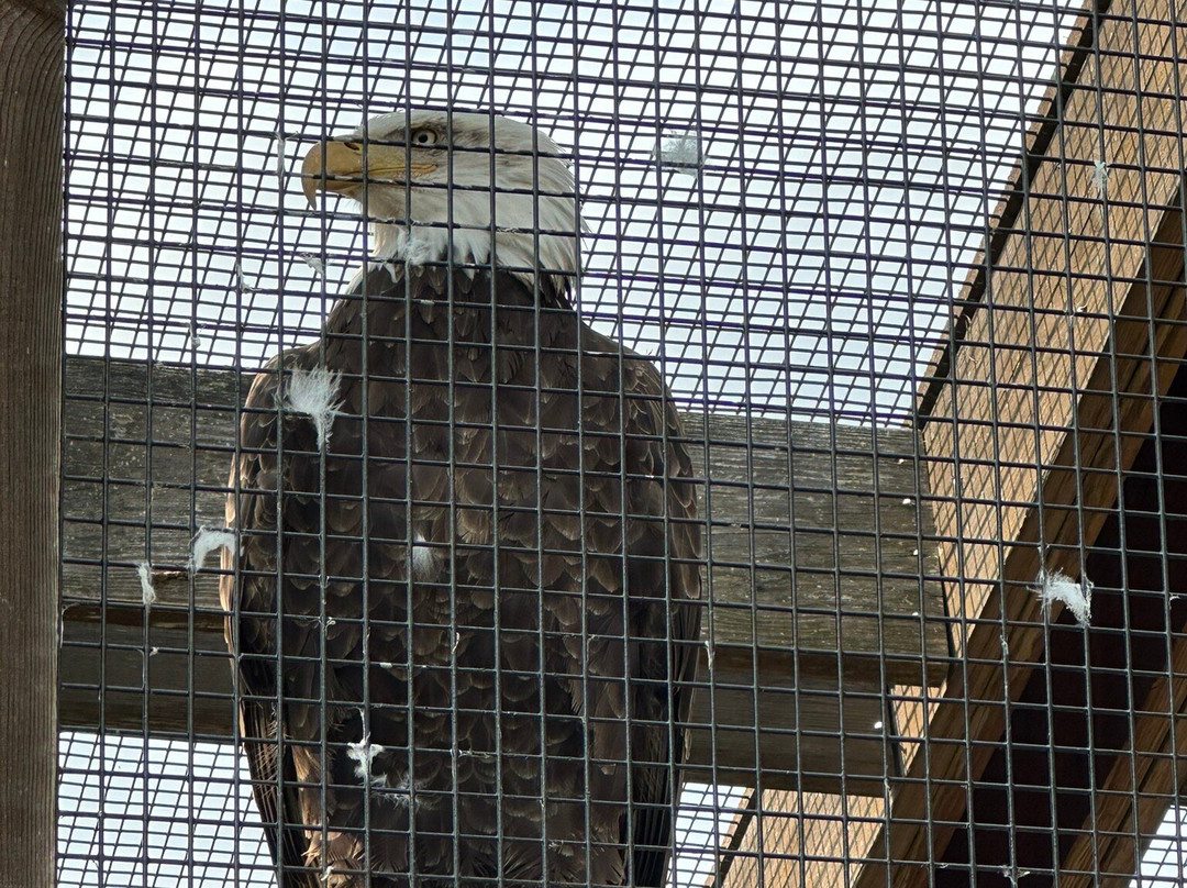 Shaver's Creek Environmental Center-Petersburg必去景点