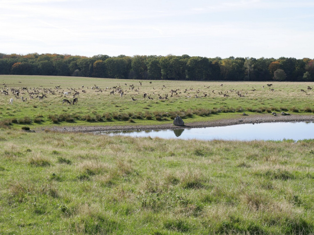 Jægerborg Dyrehave-卡拉姆堡必去景点