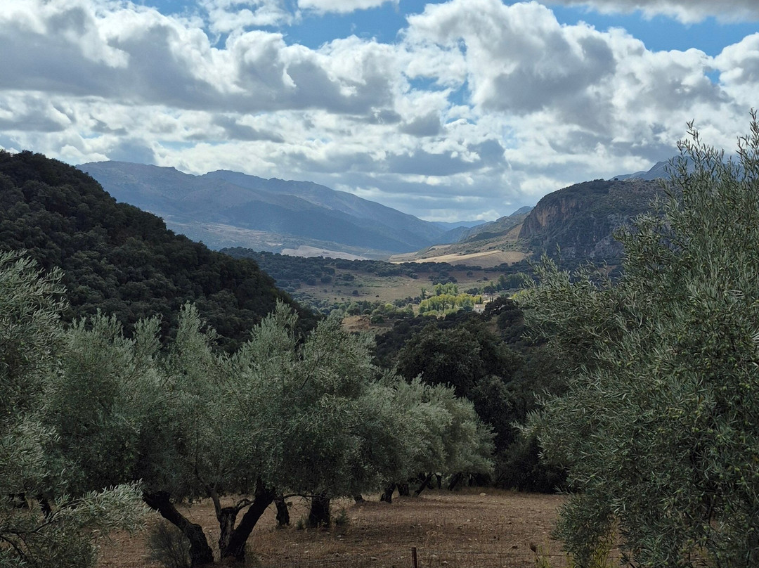 Andalucian Cycling Experience Day Trips-隆达必去景点