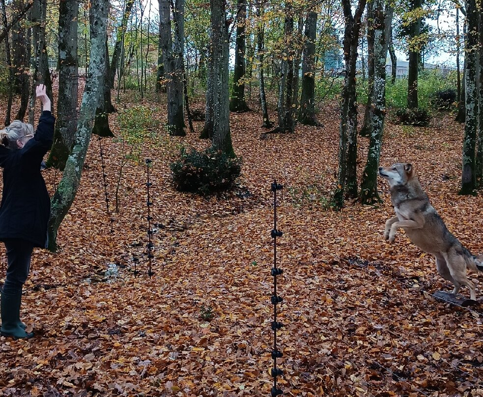Rendez-vous en Terre Animale-Sury-aux-Bois必去景点