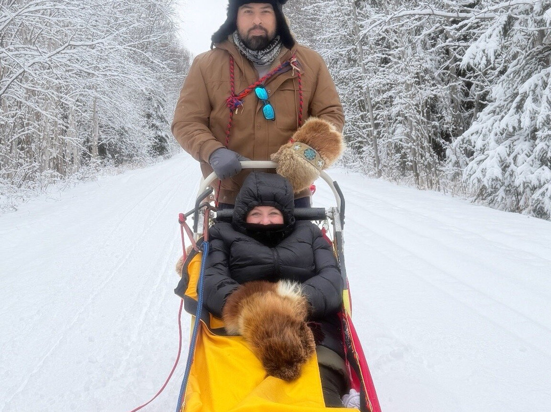 Cotter's Sled Dog Tours-费尔班克斯必去景点