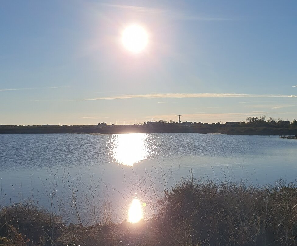 Salin d'Aigues-Mortes-艾格莫尔特必去景点