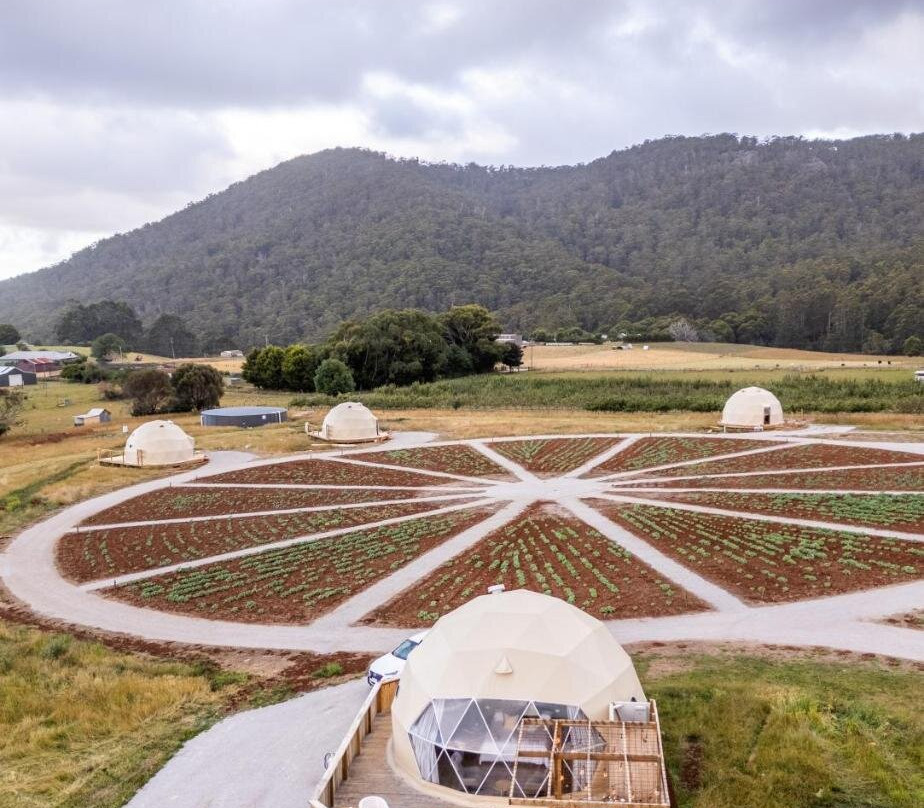 Mount Gnomon Farm