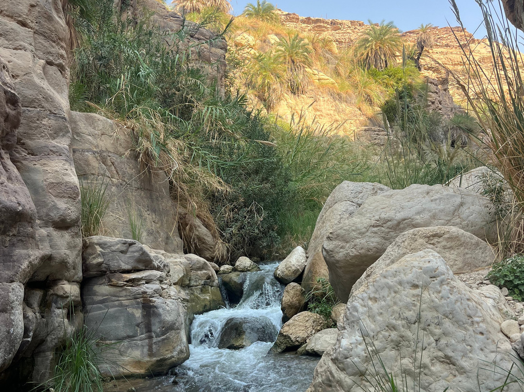 Wadi Bin Hammad-Karak必去景点