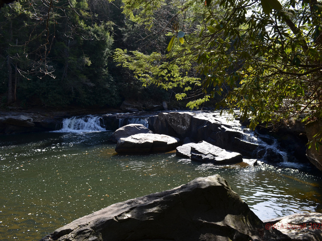 Swallow Falls State Park-Oakland必去景点