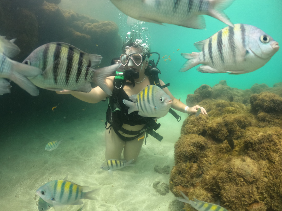 Aquatic Center Escola de Mergulho-嘎林海斯港必去景点