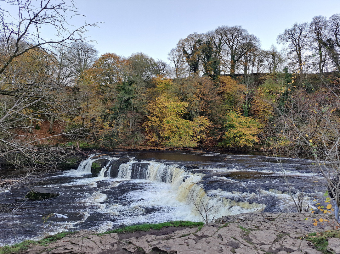 Aysgarth Falls-Aysgarth必去景点