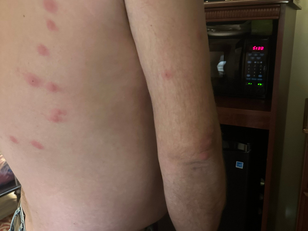 Hampton Inn Lincoln主图