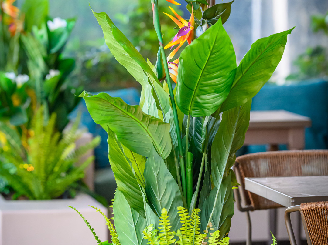 Dion Brunch & Coffee Society