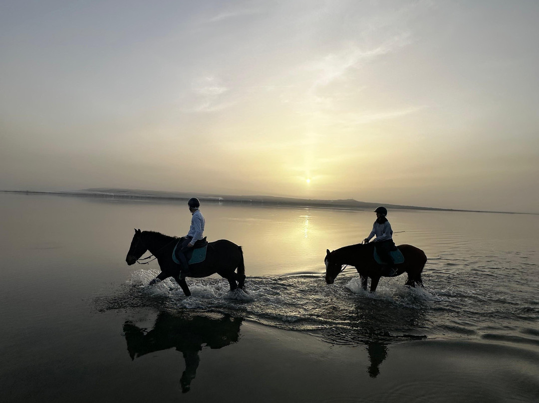Centro Ippico Meurreddus a Cuaddu-San Giovanni Suergiu必去景点