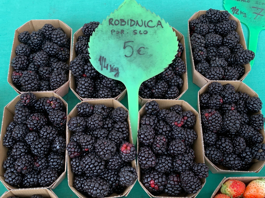 Central Market-卢布尔雅那必去景点