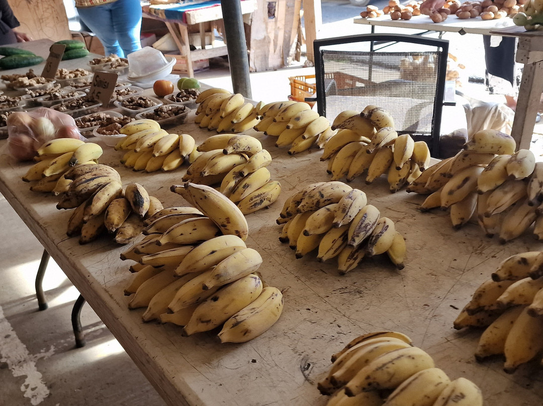 Talamahu Markets-努库阿洛法必去景点