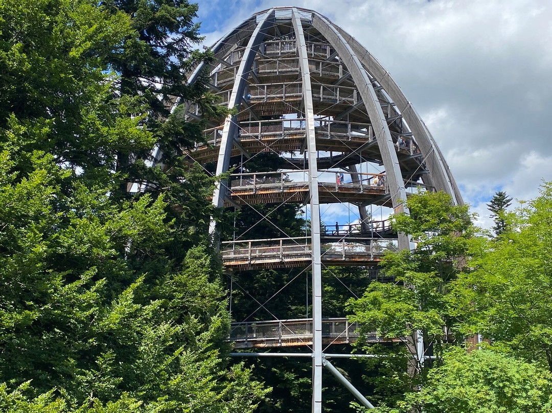 Baumwipfelpfad Bavarian Forest-Neuschonau必去景点