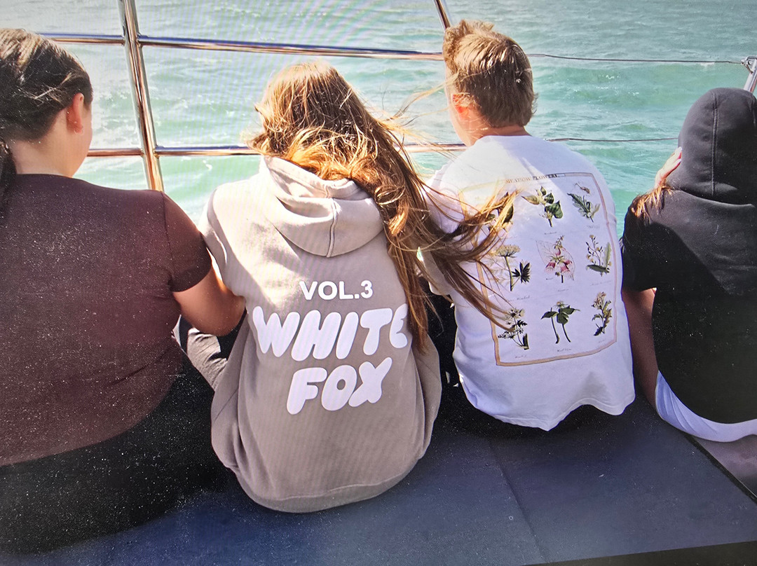 Dolphin Spotting Boat Trips (by New Quay Boat Trips)-纽基必去景点