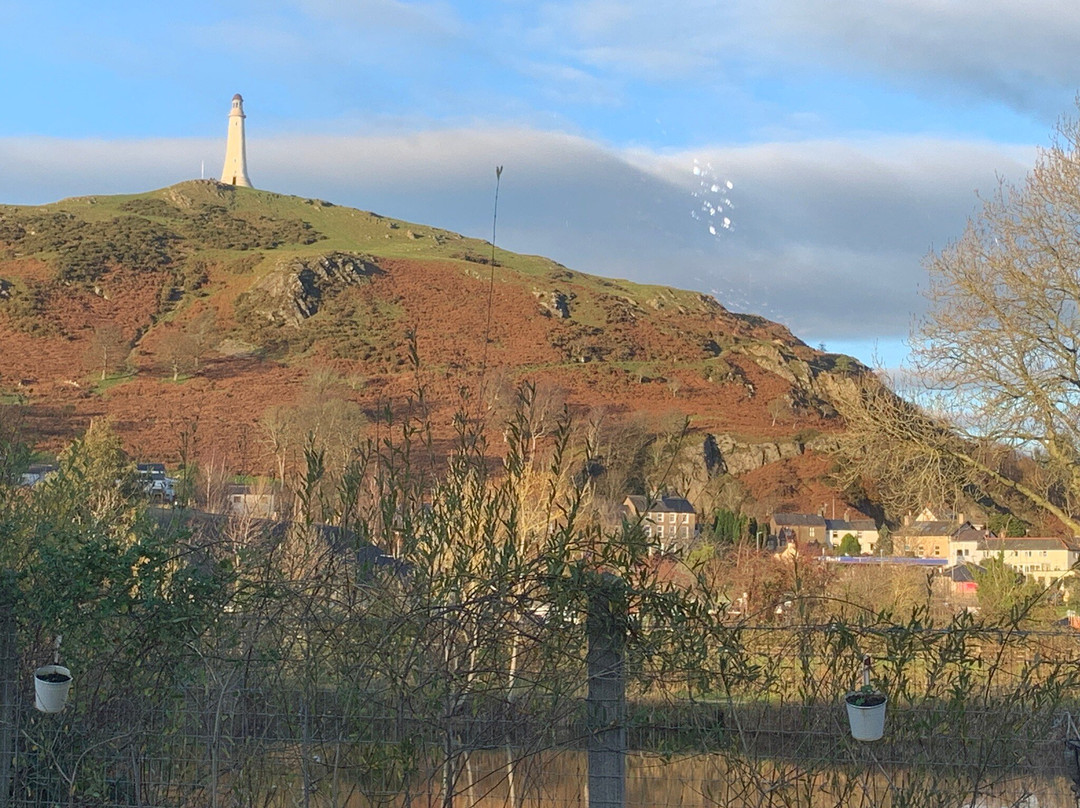 Shed One Distillery-Ulverston必去景点