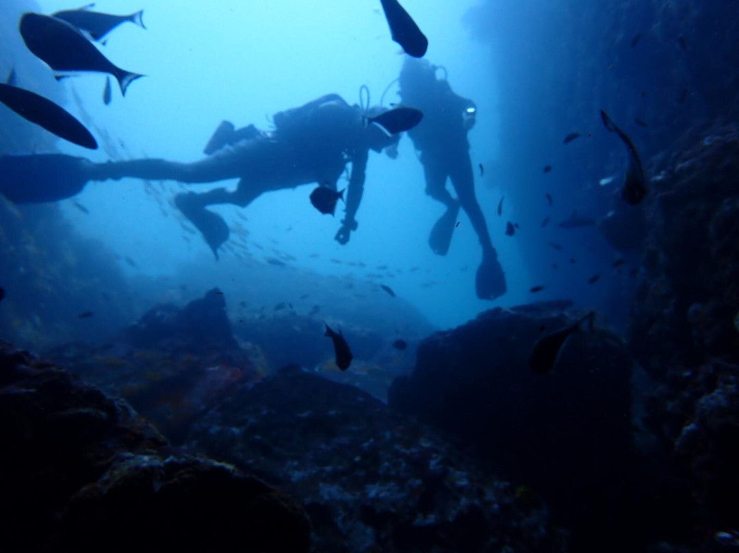 The Smiling Seahorse-拉廊必去景点