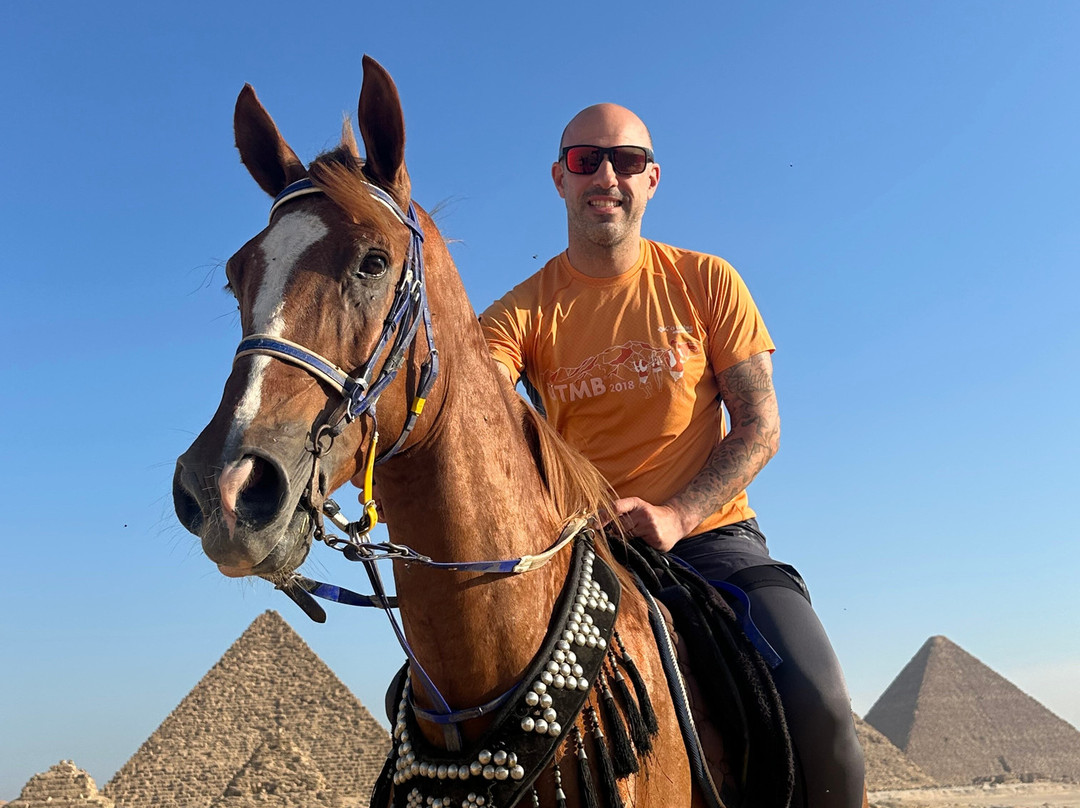 Desert Dreams-卢克索必去景点