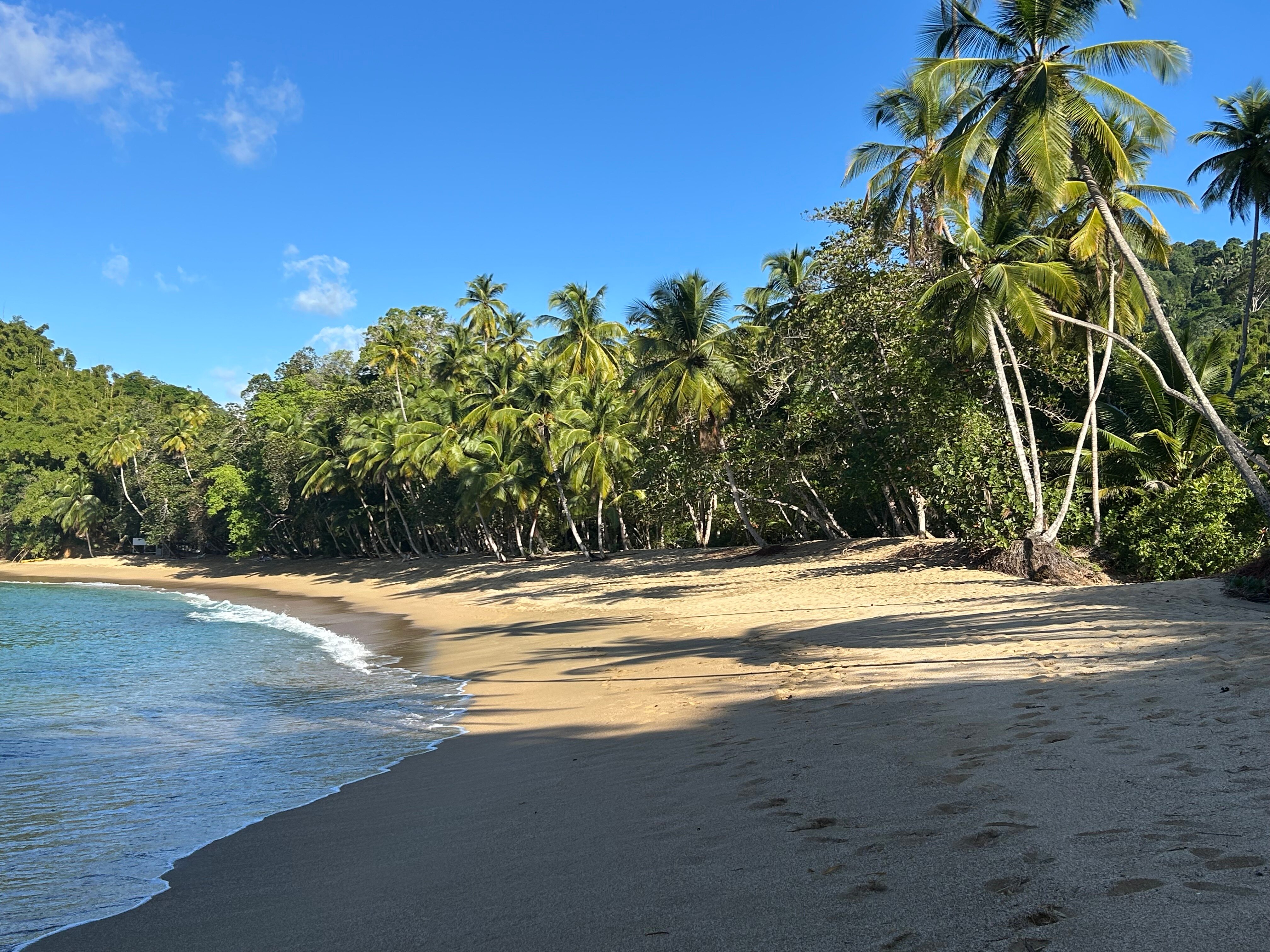 Blue Haven Hotel-官方